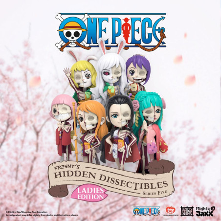 Serie 5 Blind Box Freeny's One Piece